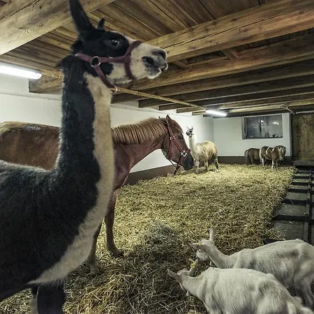 ゾーネナウ * ツェル・アム・ツィラー