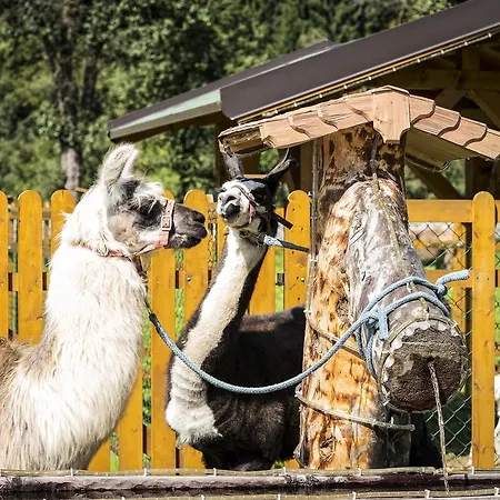 アパート ゾーネナウ ツェル・アム・ツィラー