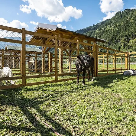 ゾーネナウ アパート